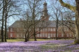 Krokusblüte am Schloss