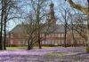 Krokusblüte am Schloss